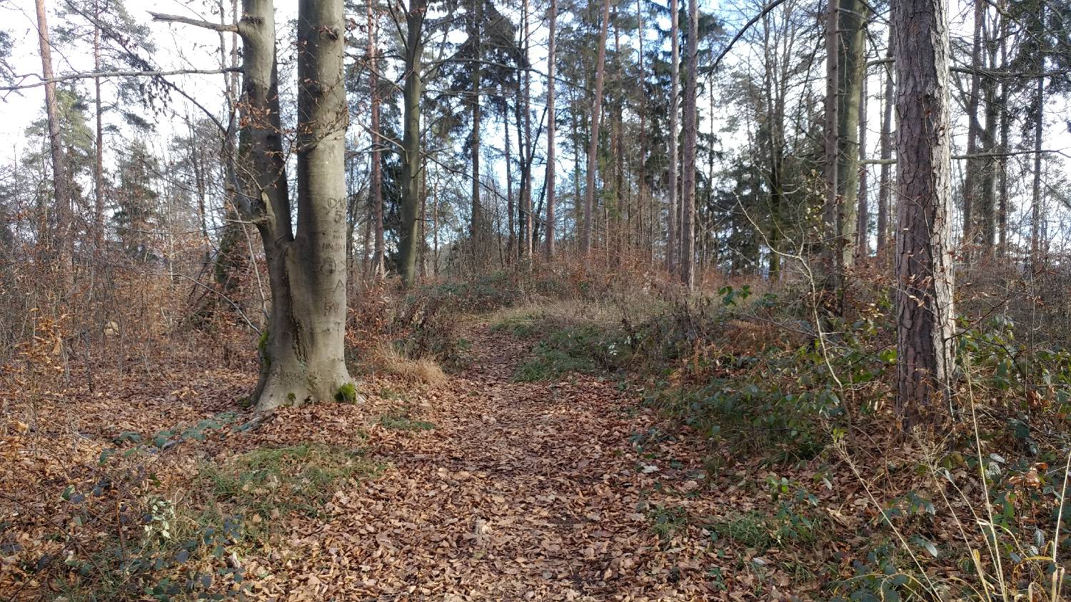 Phliški bajer - Mengeška koča na Gobavici slika 14