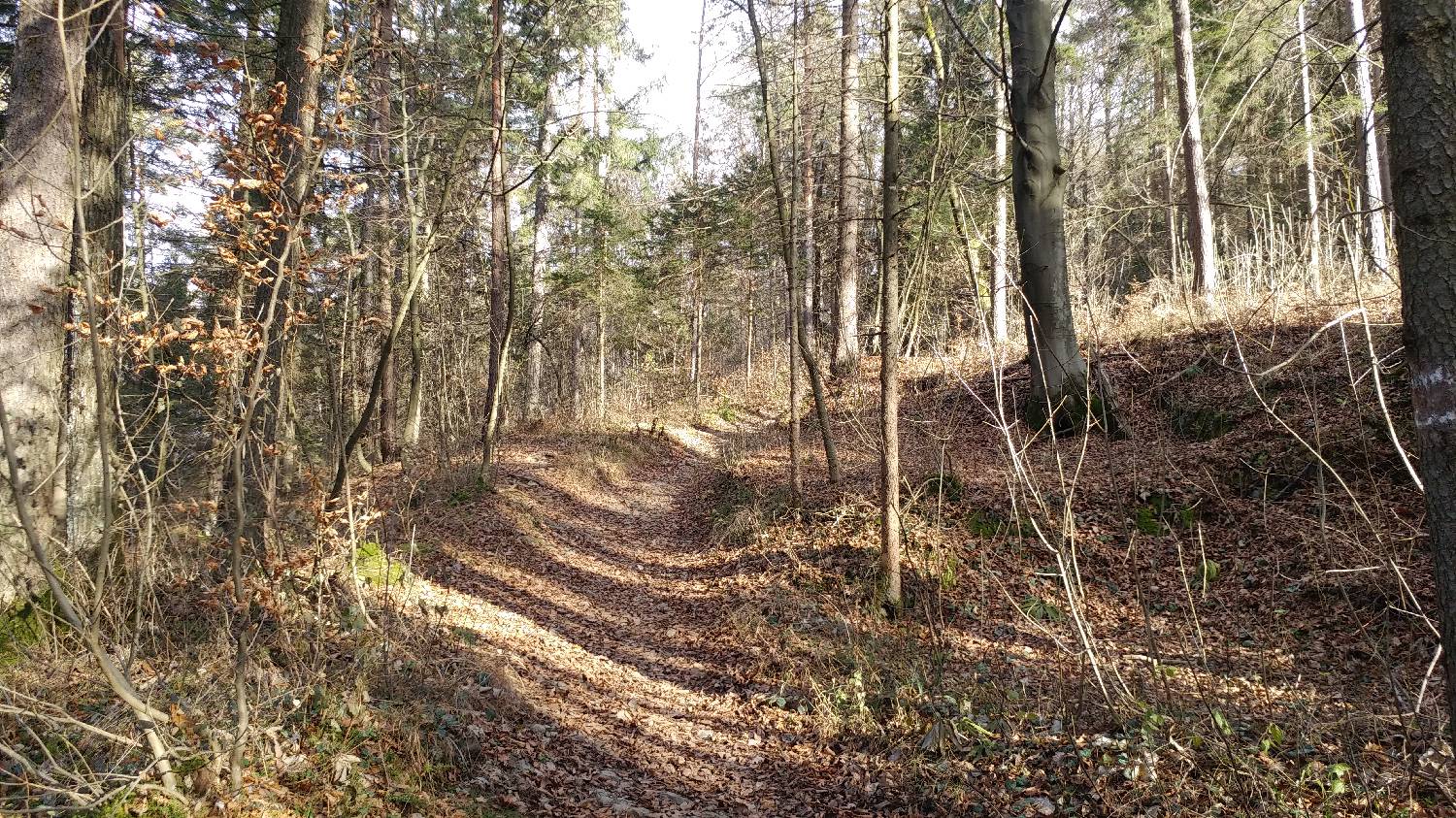 Phliški bajer - Mengeška koča na Gobavici slika 18
