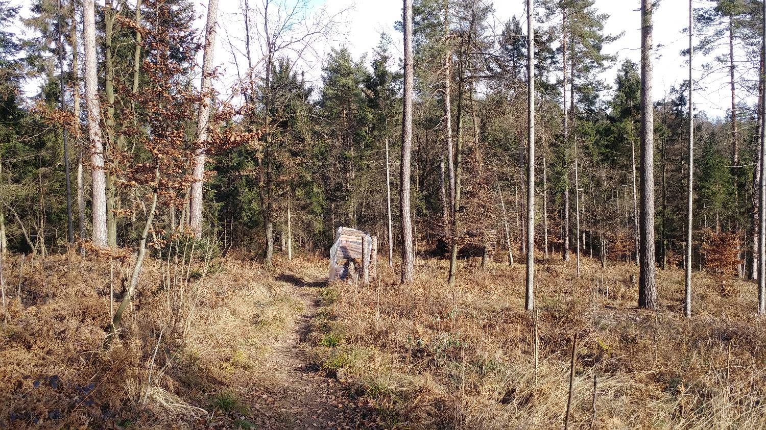 Phliški bajer - Mengeška koča na Gobavici slika 21