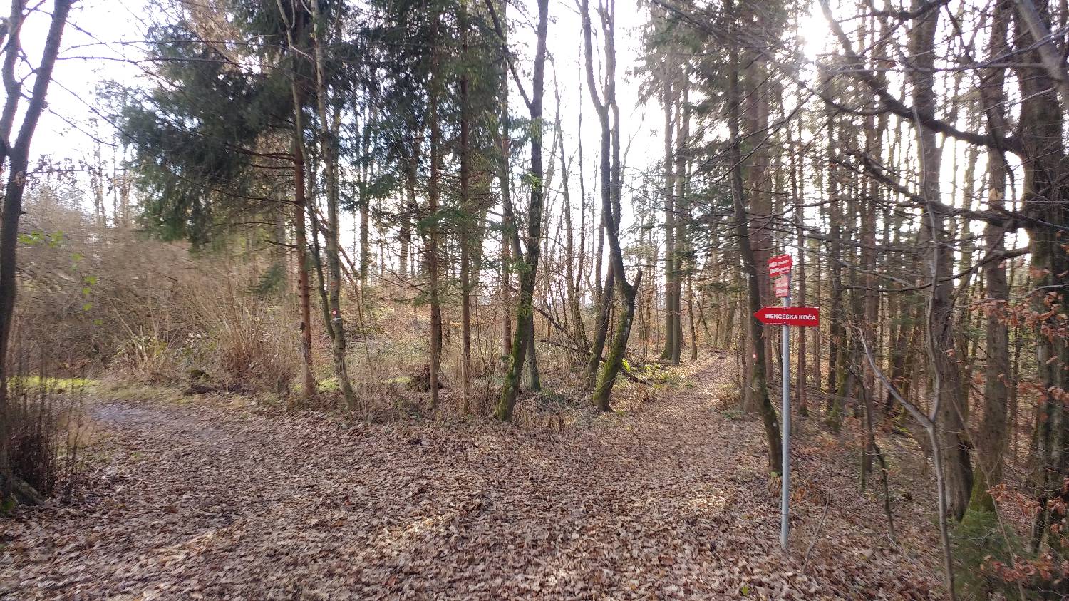Phliški bajer - Mengeška koča na Gobavici slika 22