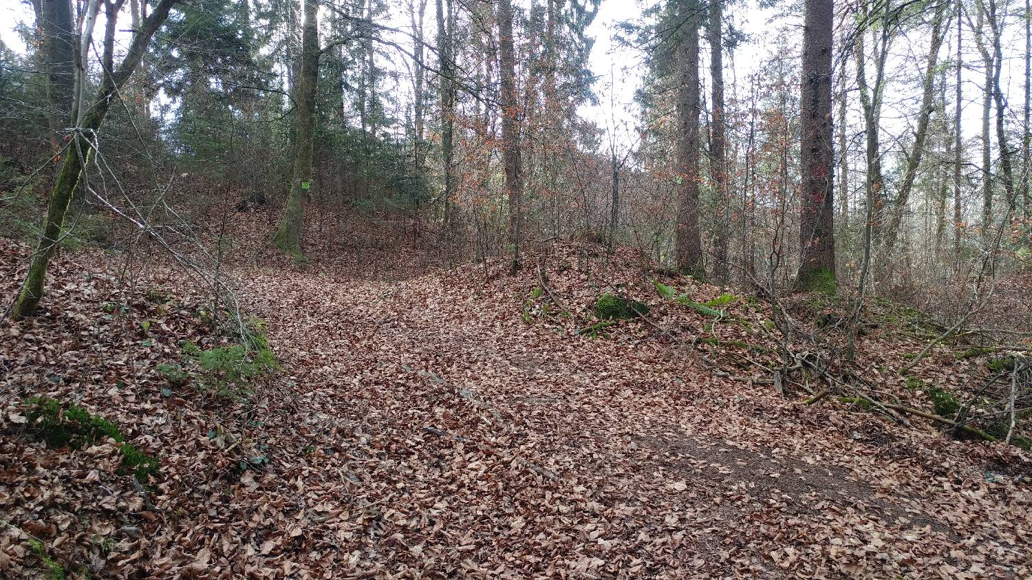 Phliški bajer - Mengeška koča na Gobavici slika 8