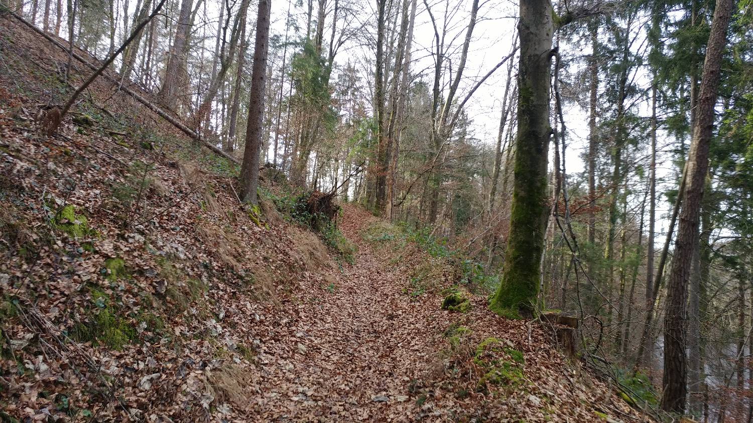 Phliški bajer - Mengeška koča na Gobavici slika 7