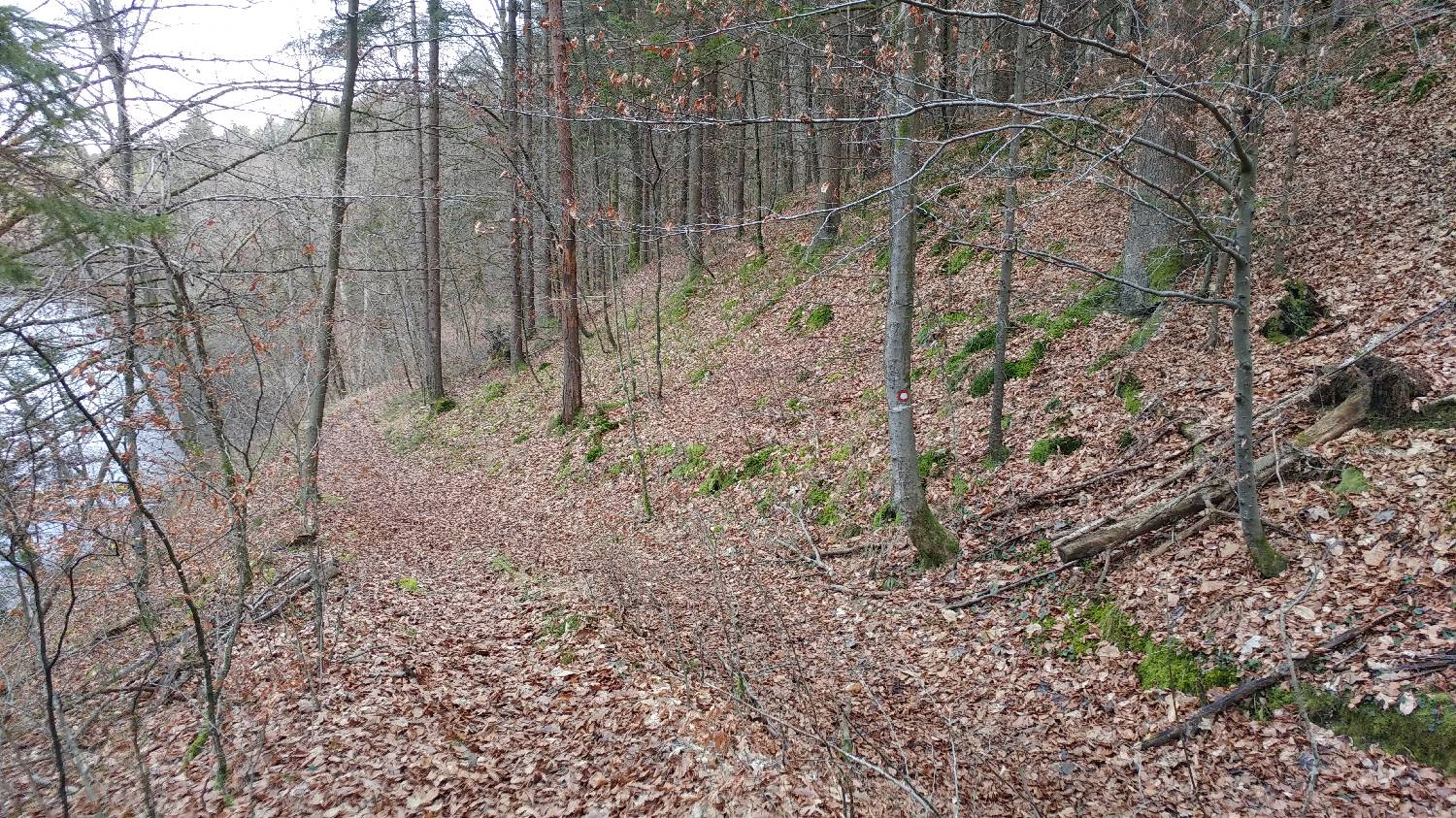 Phliški bajer - Mengeška koča na Gobavici slika 6