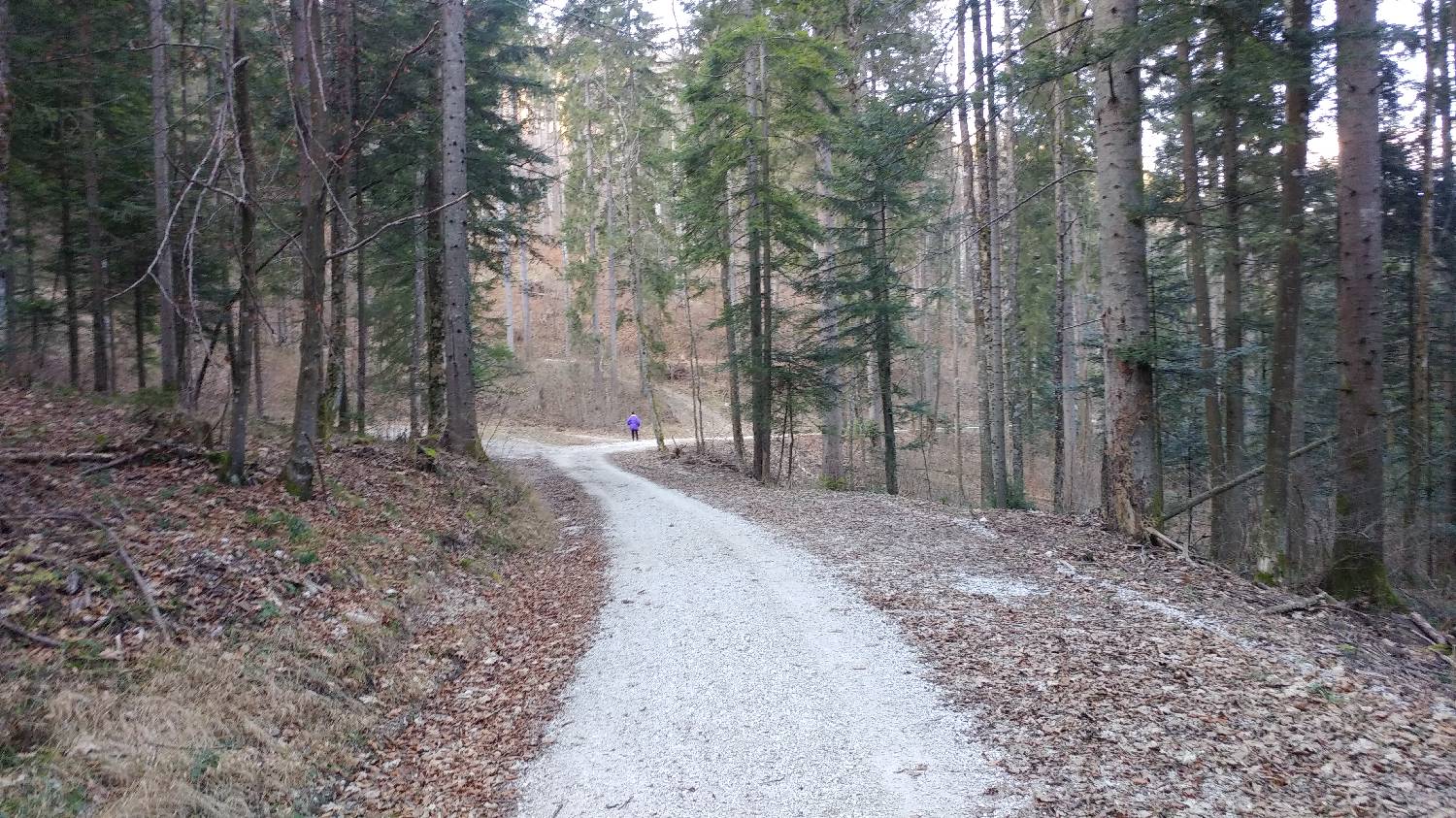 Nad Idrijo (pri rampi) - Hleviška planina slika 5