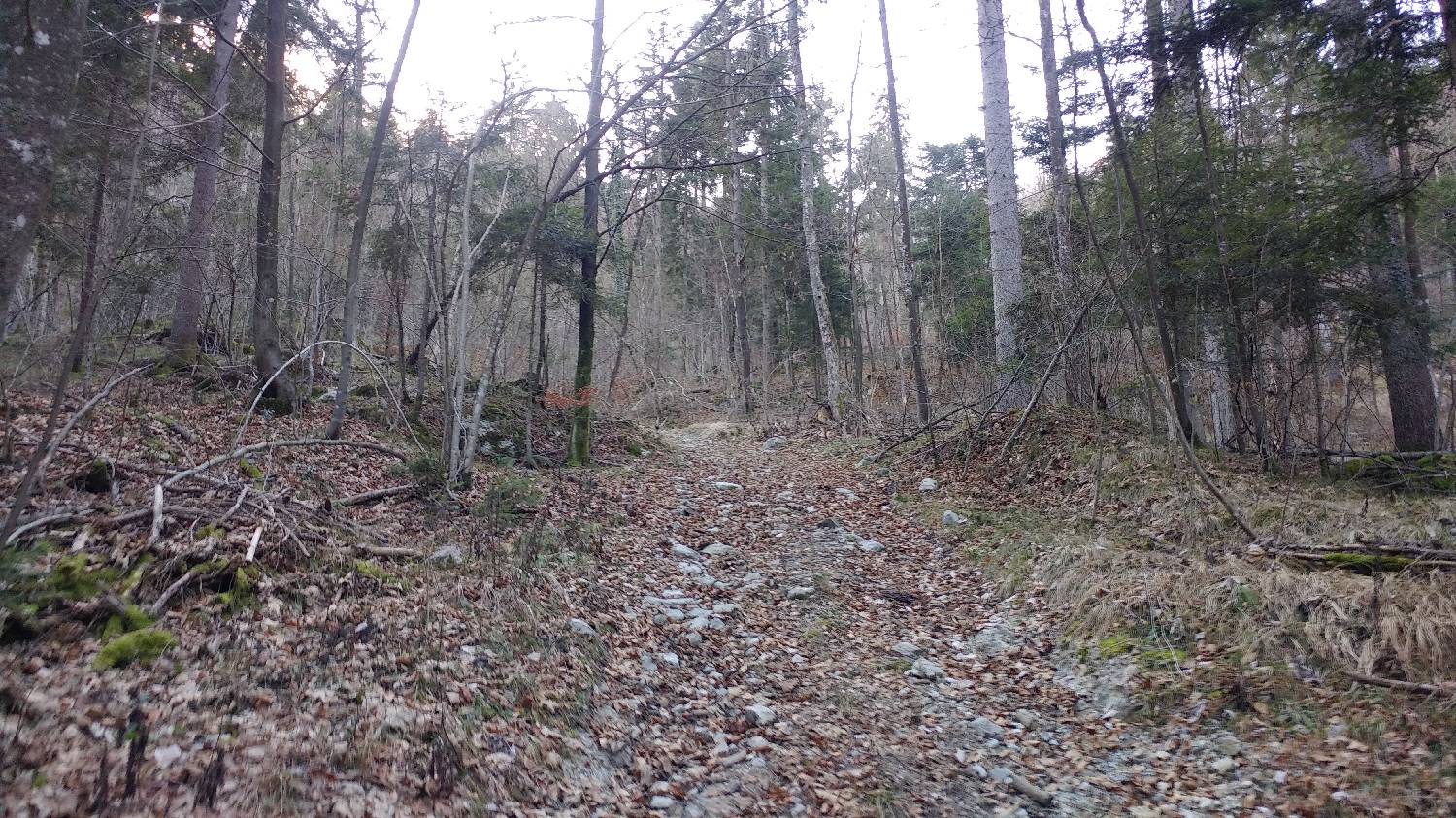 Nad Idrijo (pri rampi) - Hleviška planina slika 6