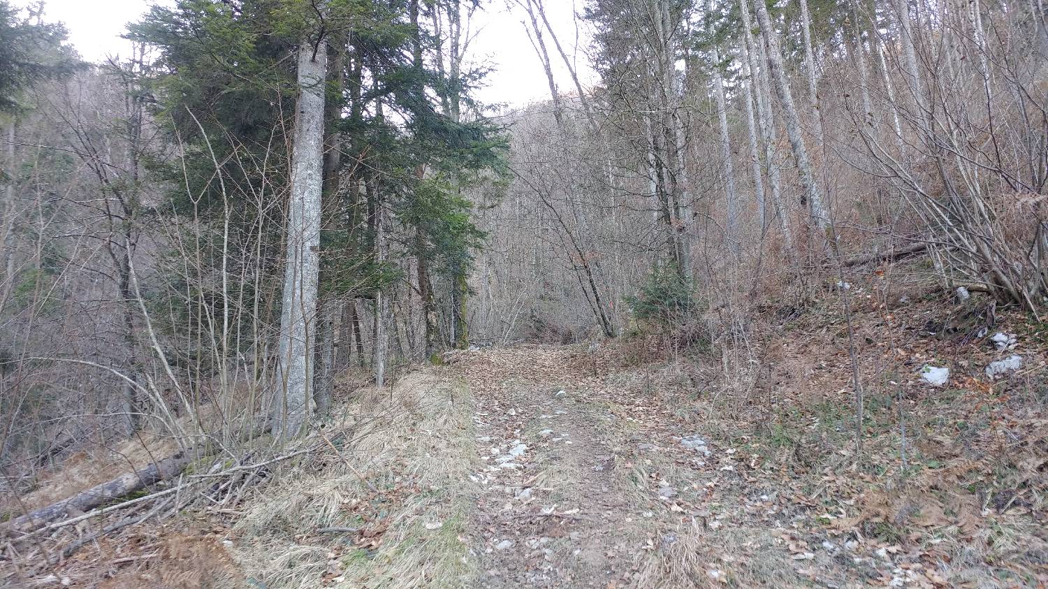 Nad Idrijo (pri rampi) - Hleviška planina slika 7