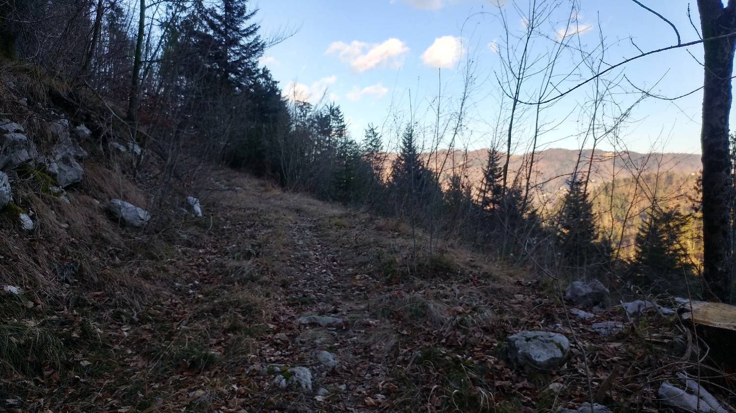 Nad Idrijo (pri rampi) - Koča na Hleviški planini slika 8