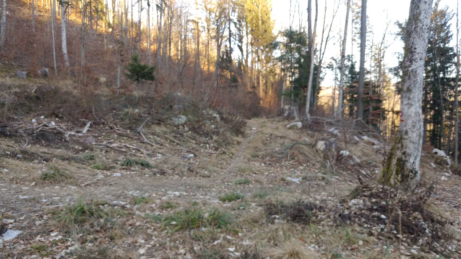 Nad Idrijo (pri rampi) - Koča na Hleviški planini slika 9