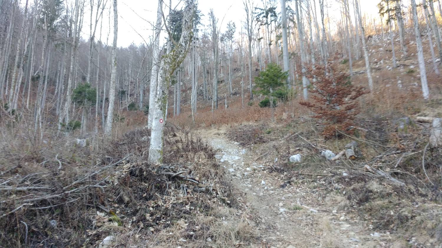 Nad Idrijo (pri rampi) - Hleviška planina slika 10