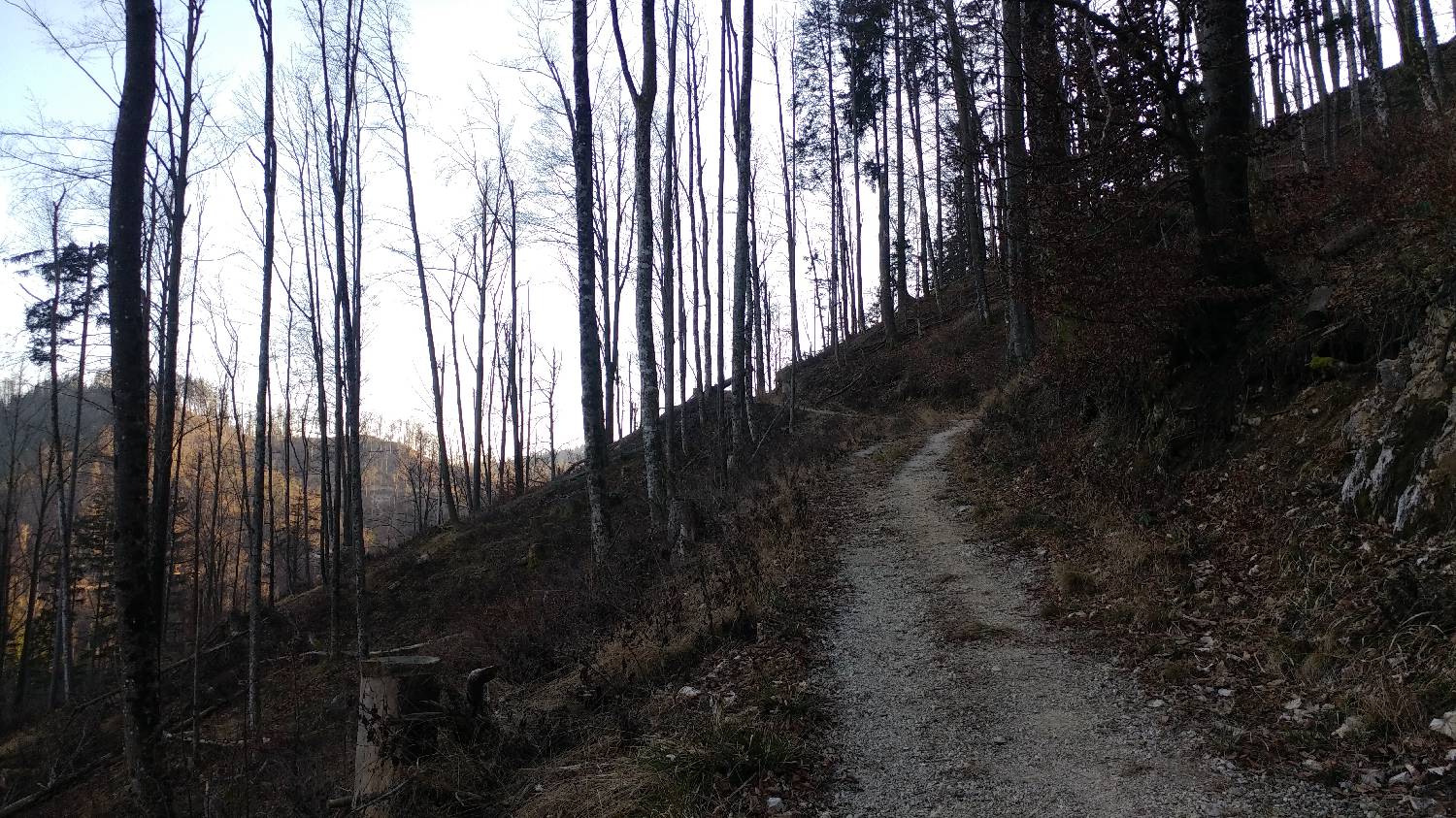 Nad Idrijo (pri rampi) - Hleviška planina slika 11