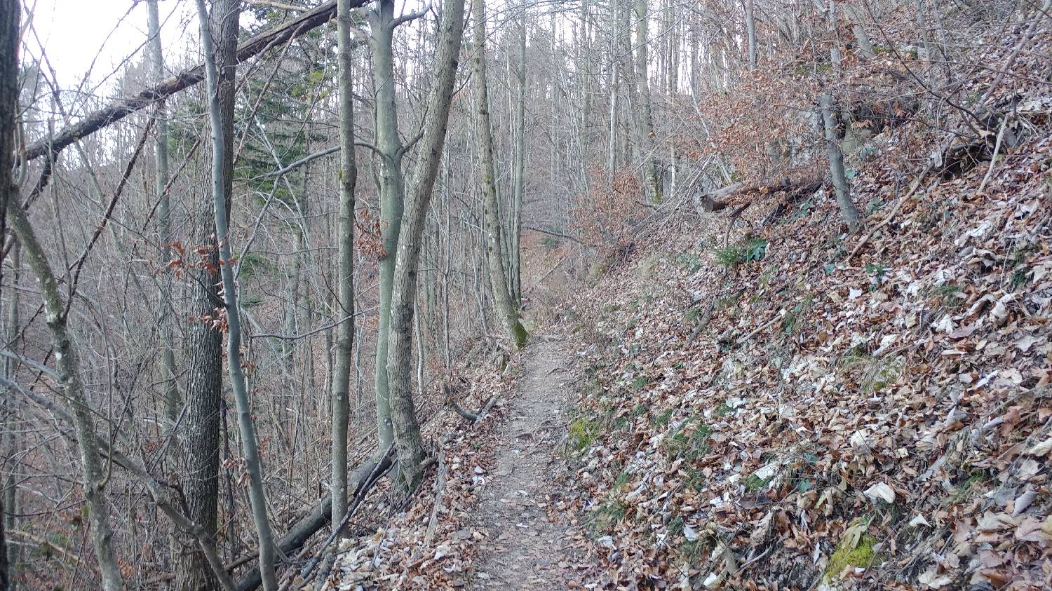 Nad Idrijo (pri rampi) - Hleviška planina slika 13