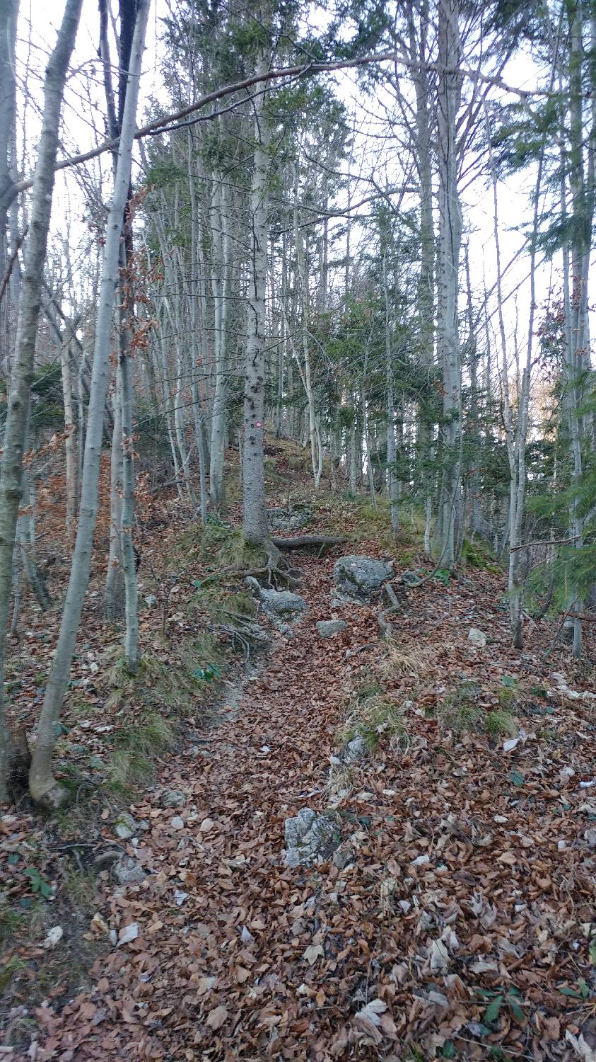 Nad Idrijo (pri rampi) - Hleviška planina slika 14
