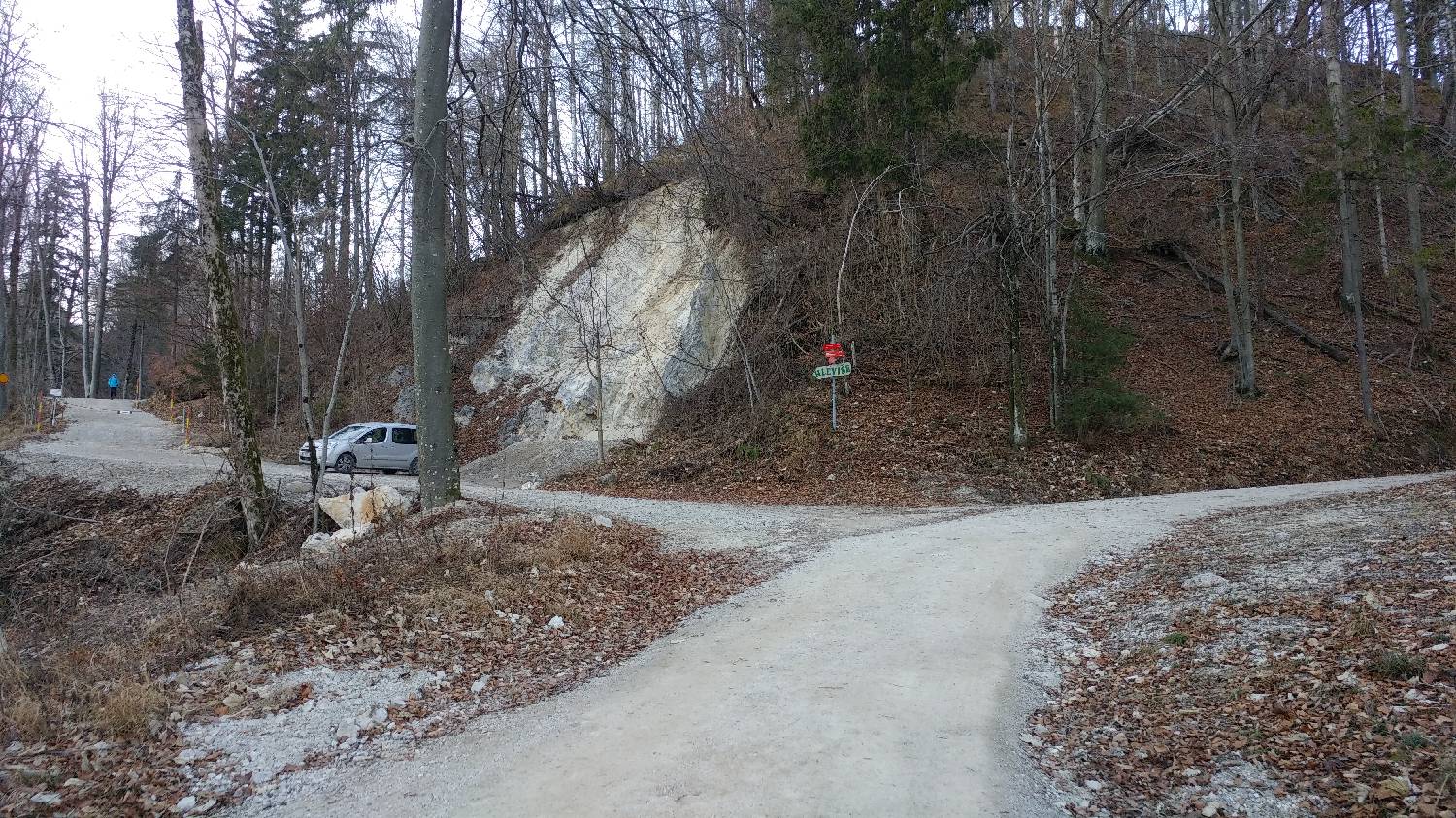 Nad Idrijo (pri rampi) - Koča na Hleviški planini slika 17