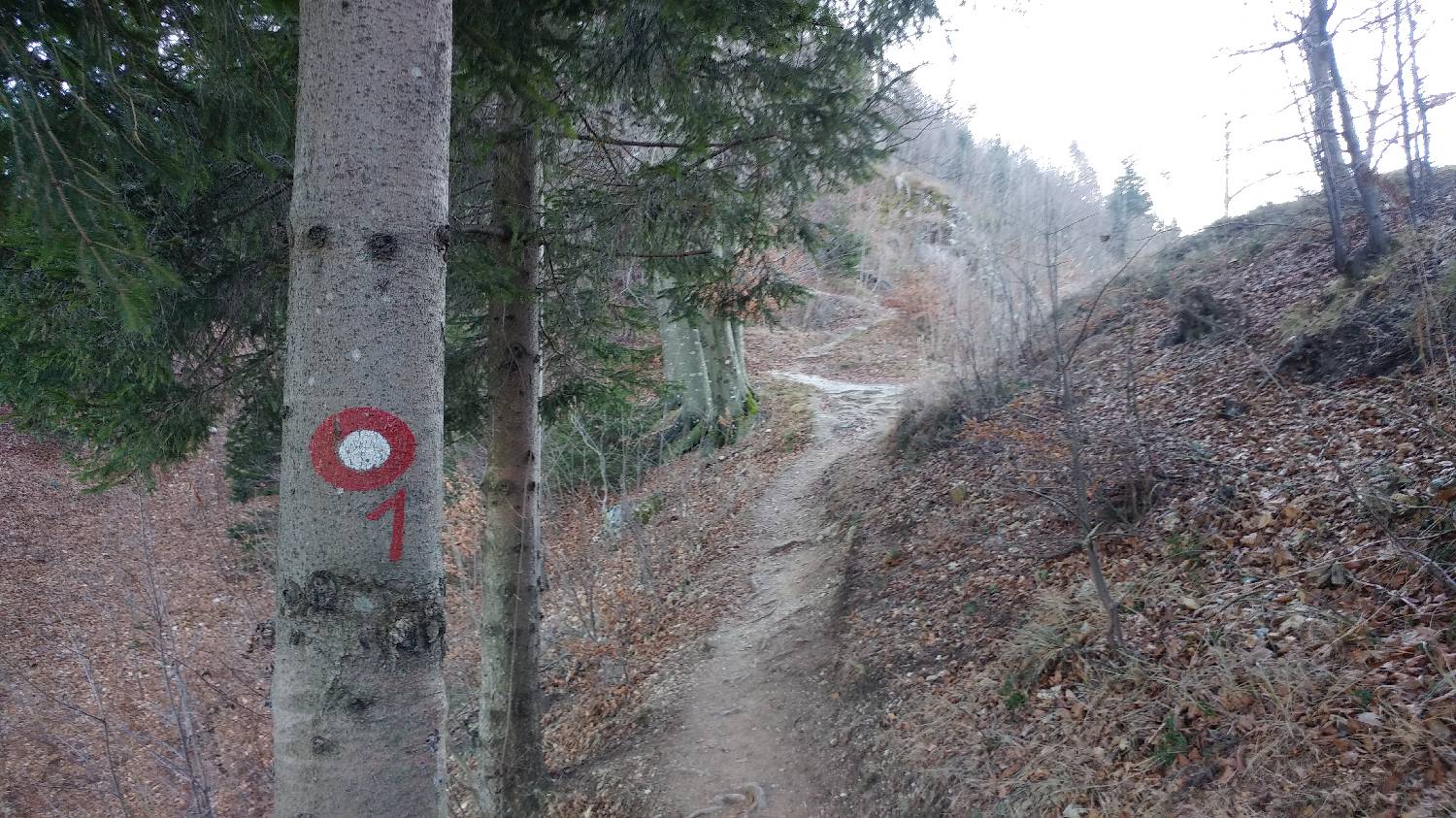 Nad Idrijo (pri rampi) - Hleviška planina slika 20