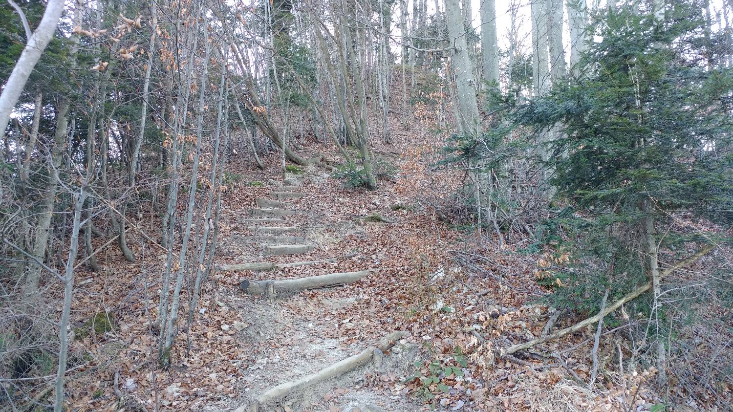 Nad Idrijo (pri rampi) - Hleviška planina slika 23
