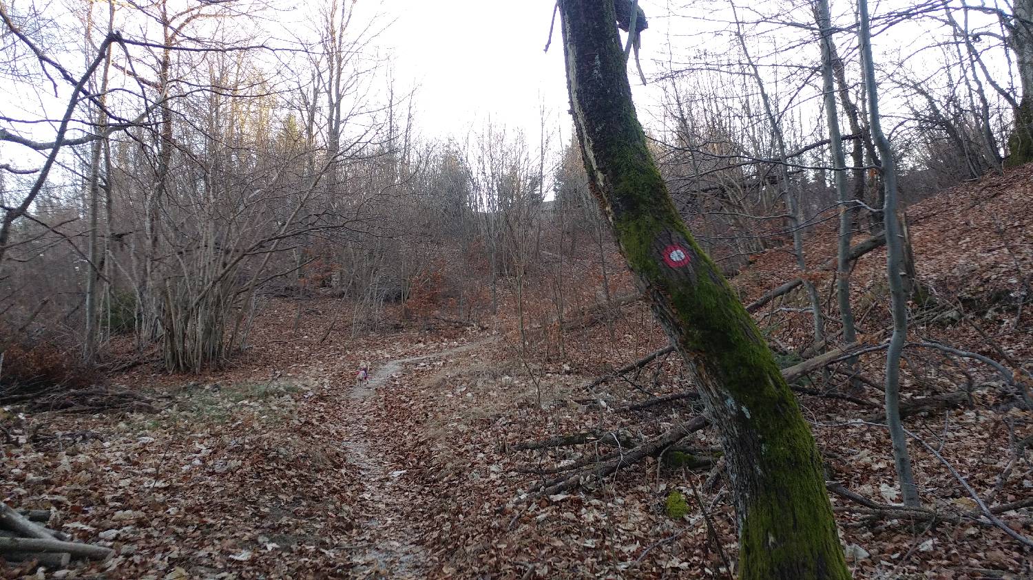 Nad Idrijo (pri rampi) - Hleviška planina slika 24