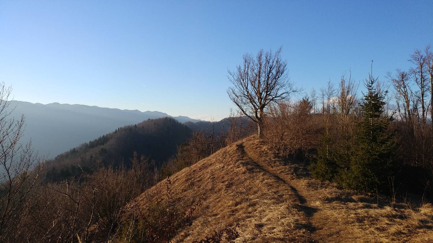 Nad Idrijo (pri rampi) - Hleviška planina - main photo