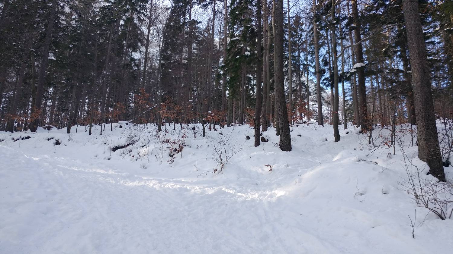 Ljubelj - Svačica slika 3