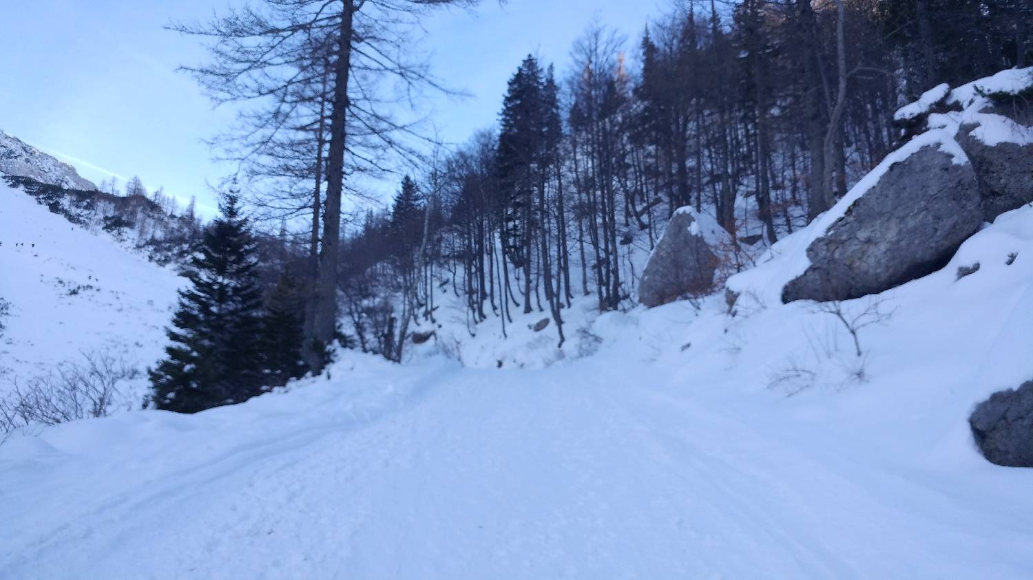 Ljubelj - Svačica slika 15