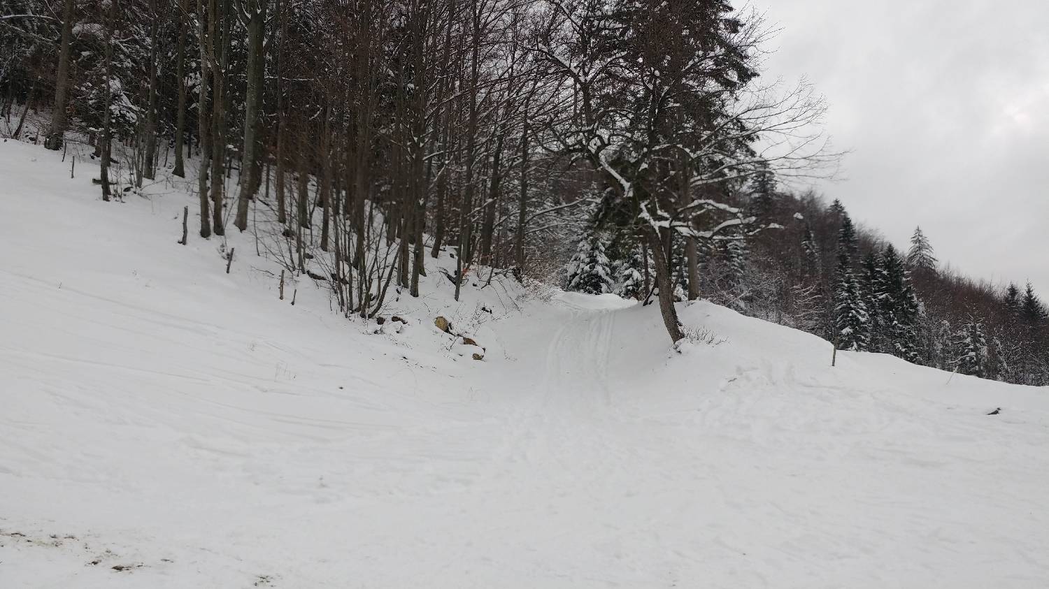 Lome - Pirnatova koča na Javorniku slika 4