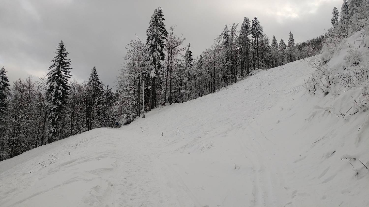 Lome - Pirnatova koča na Javorniku slika 9