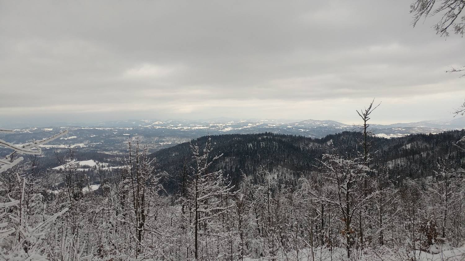 Lome - Pirnatova koča na Javorniku slika 16