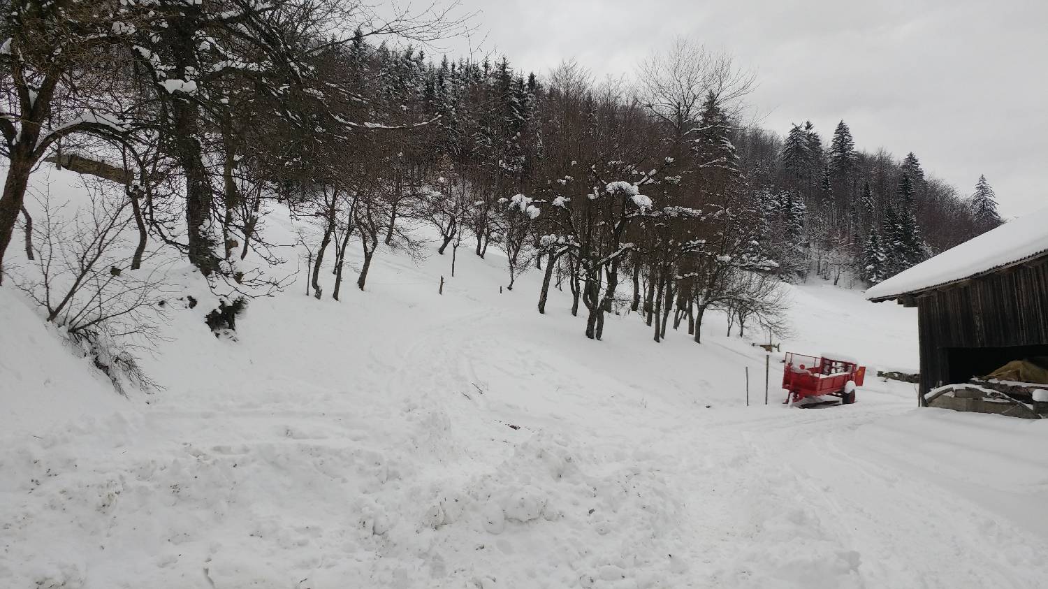 Lome - Pirnatova koča na Javorniku slika 3