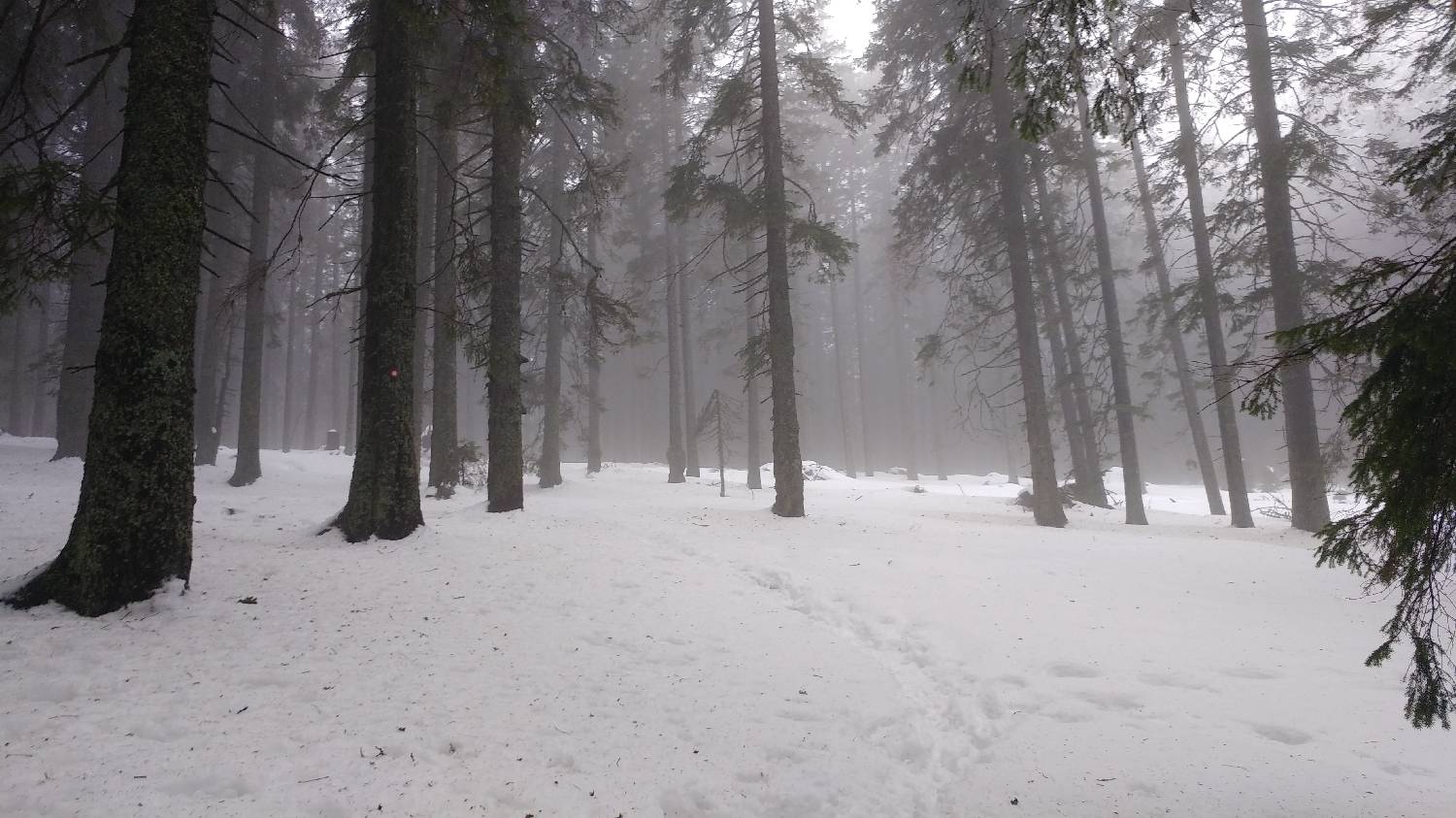 Koča na Pesku - Rogla slika 4