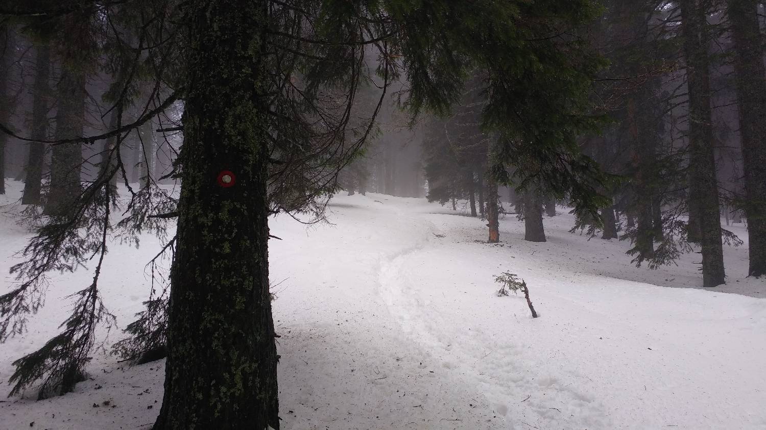 Koča na Pesku - Rogla slika 6