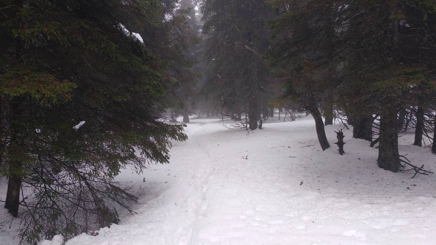 Koča na Pesku - Rogla slika 8