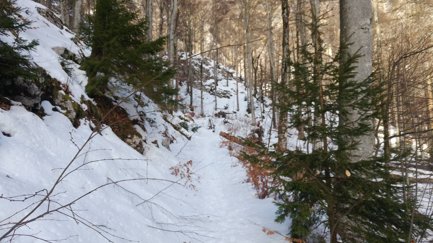 Planinski dom Savica - Dom na Komni slika 5