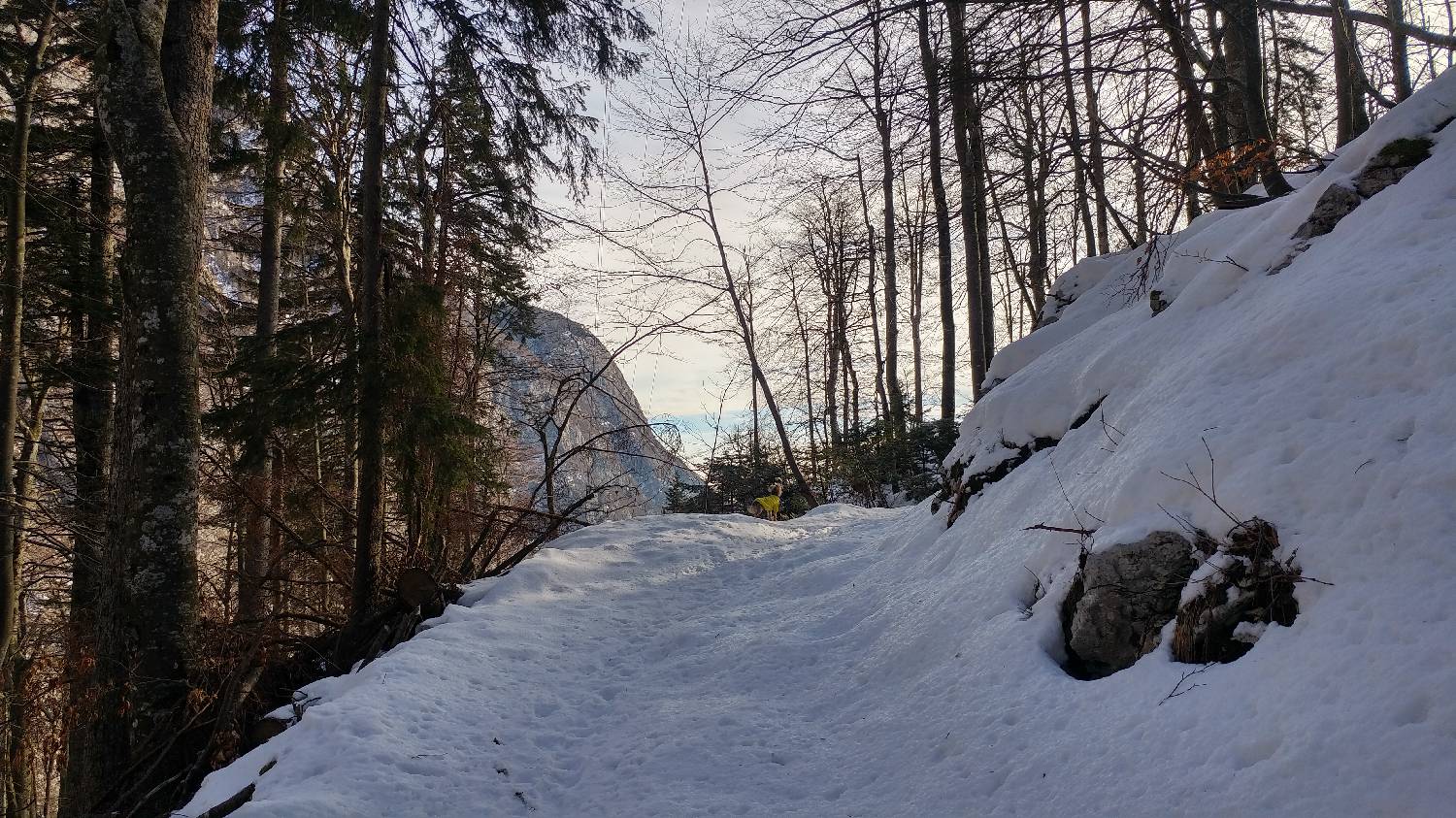 Planinski dom Savica - Dom na Komni slika 7
