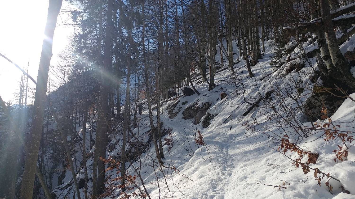 Planinski dom Savica - Dom na Komni slika 13