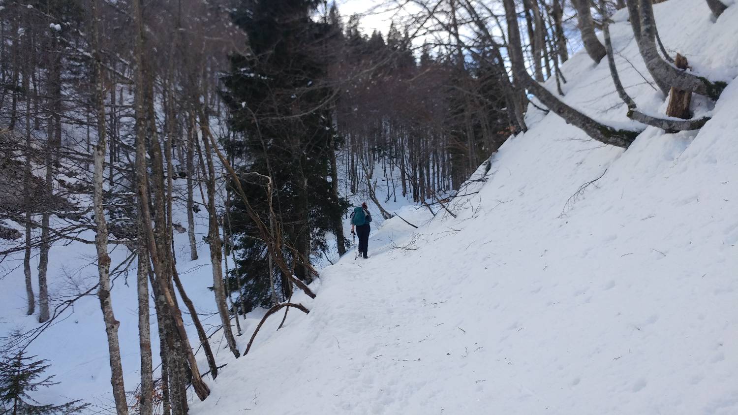 Planinski dom Savica - Dom na Komni slika 16