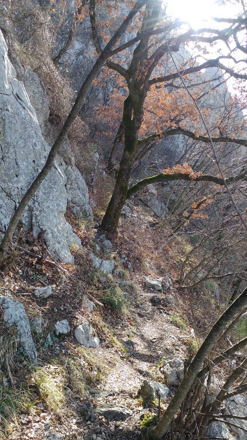 Gradišče pri Vipavi - Furlanovo zavetišče pri Abramu slika 10