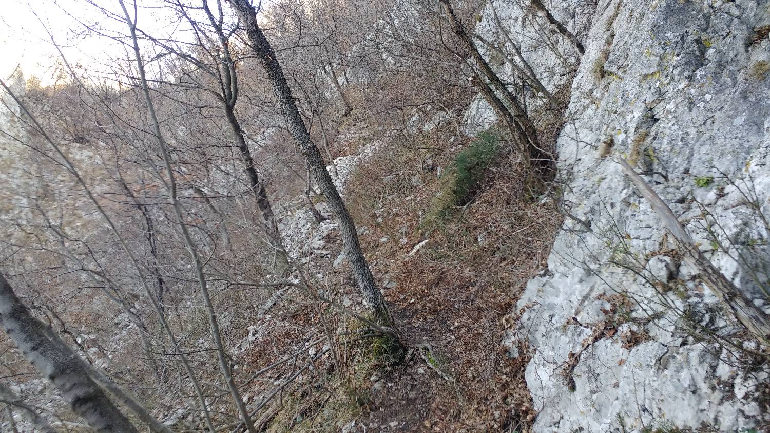 Gradišče pri Vipavi - Furlanovo zavetišče pri Abramu slika 16