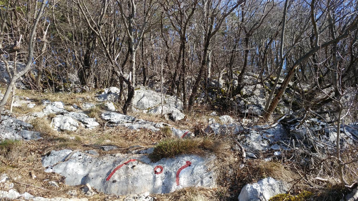Gradišče pri Vipavi - Furlanovo zavetišče pri Abramu slika 30