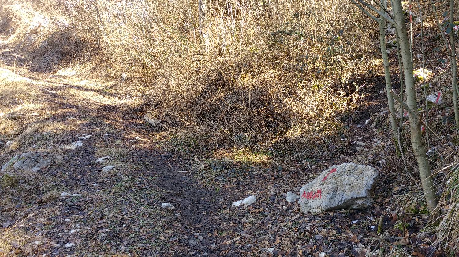 Gradišče pri Vipavi - Furlanovo zavetišče pri Abramu slika 51