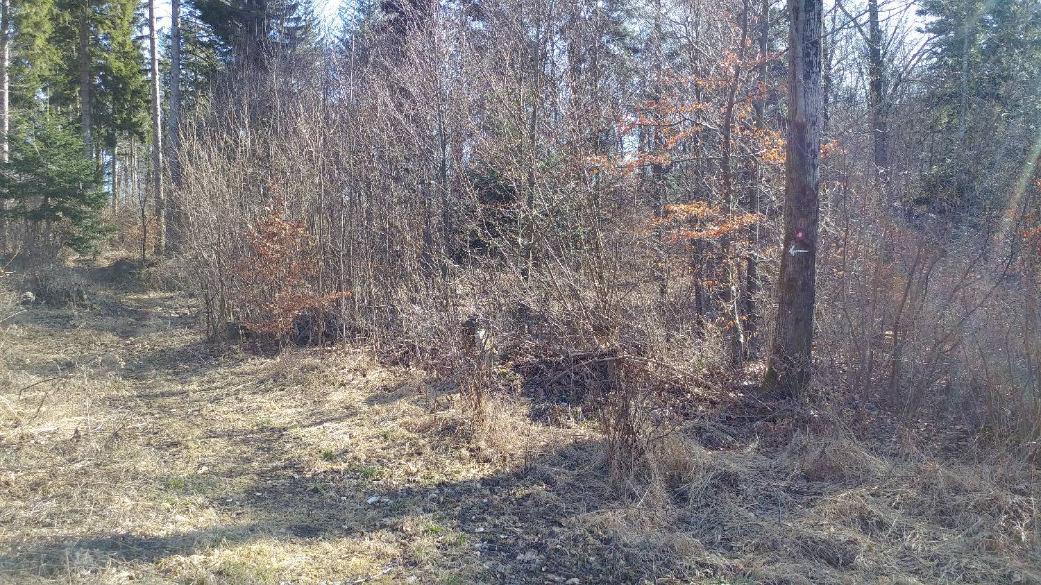 Gradišče pri Vipavi - Furlanovo zavetišče pri Abramu slika 50