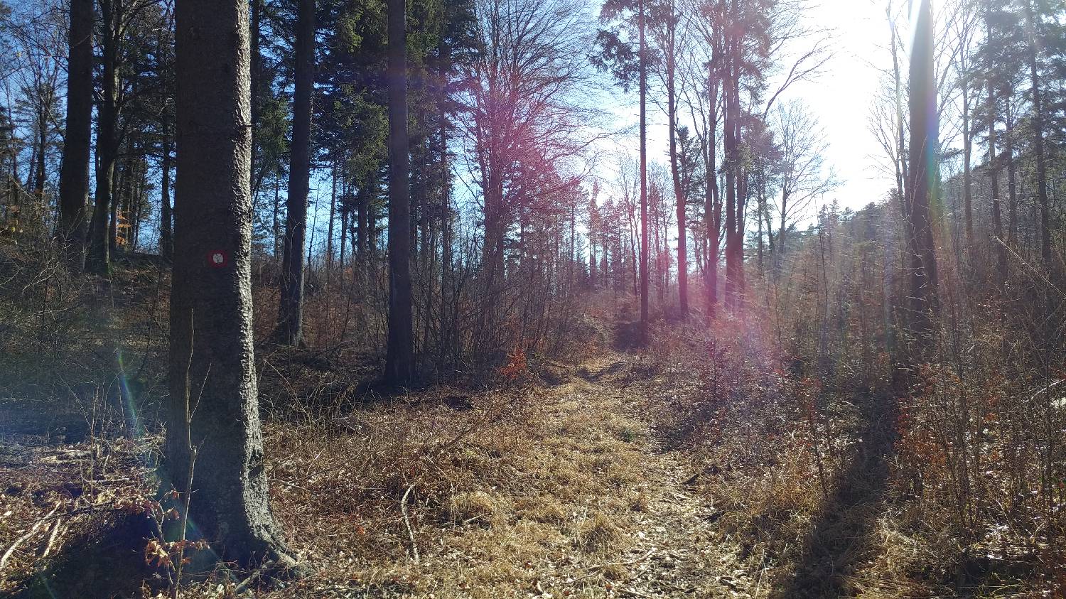 Gradišče pri Vipavi - Furlanovo zavetišče pri Abramu slika 52