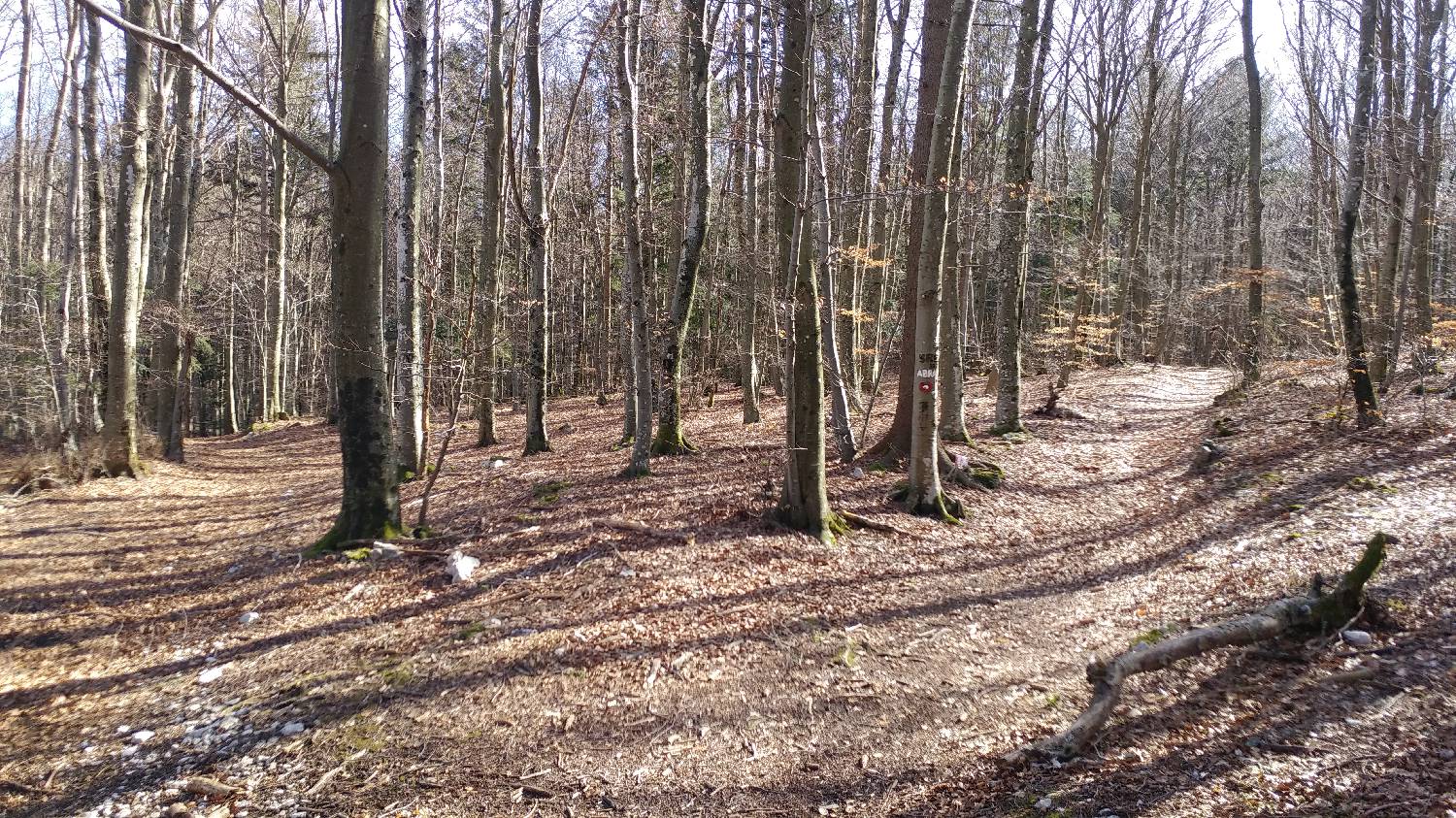 Gradišče pri Vipavi - Furlanovo zavetišče pri Abramu slika 55