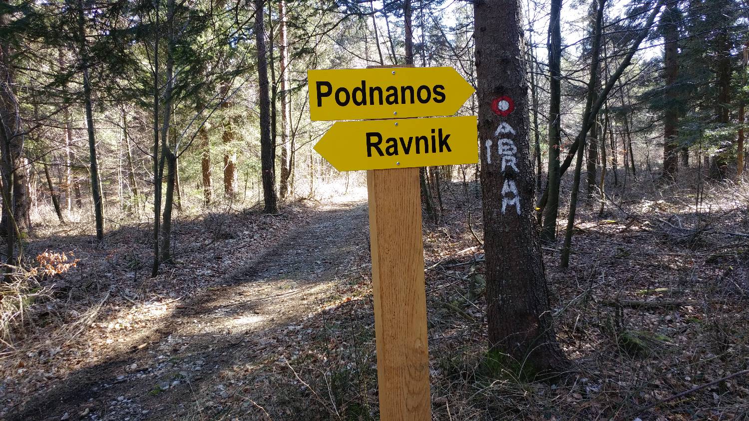 Gradišče pri Vipavi - Furlanovo zavetišče pri Abramu slika 74