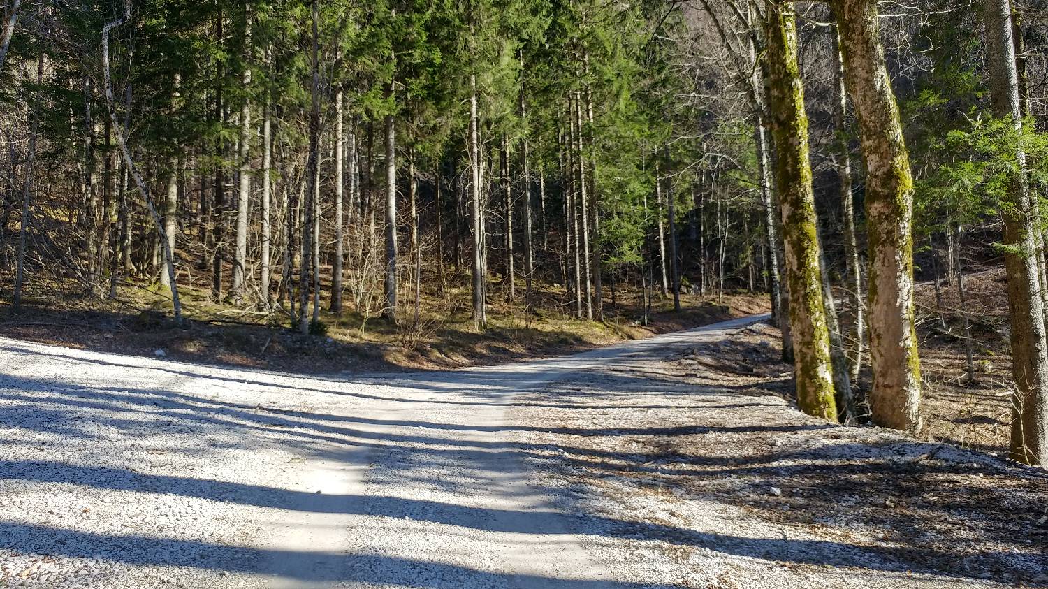 Dom v Kamniški Bistrici - Pri Pastirjih slika 12