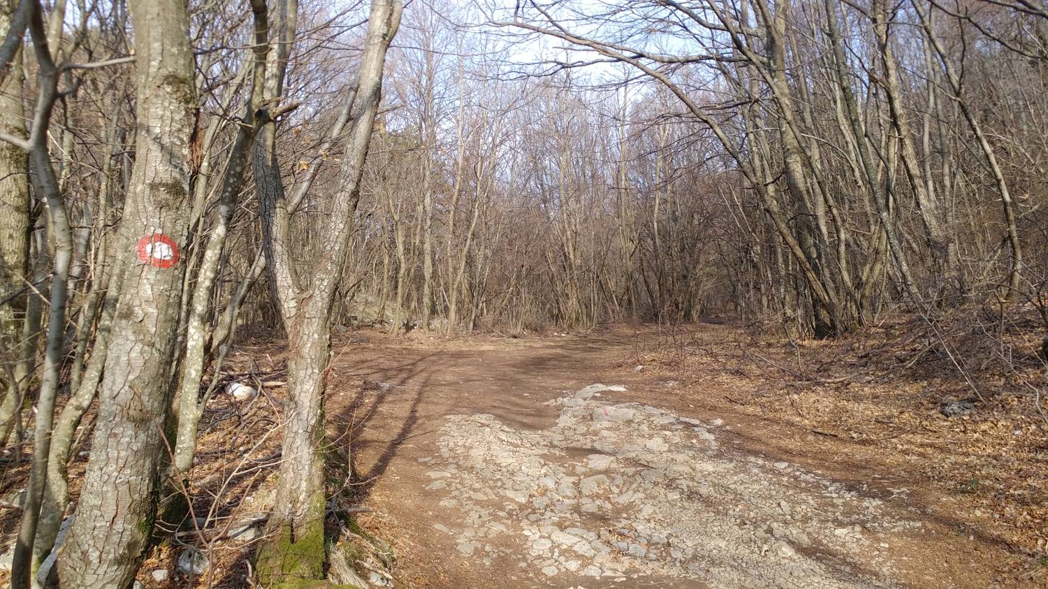 Loščica main photo