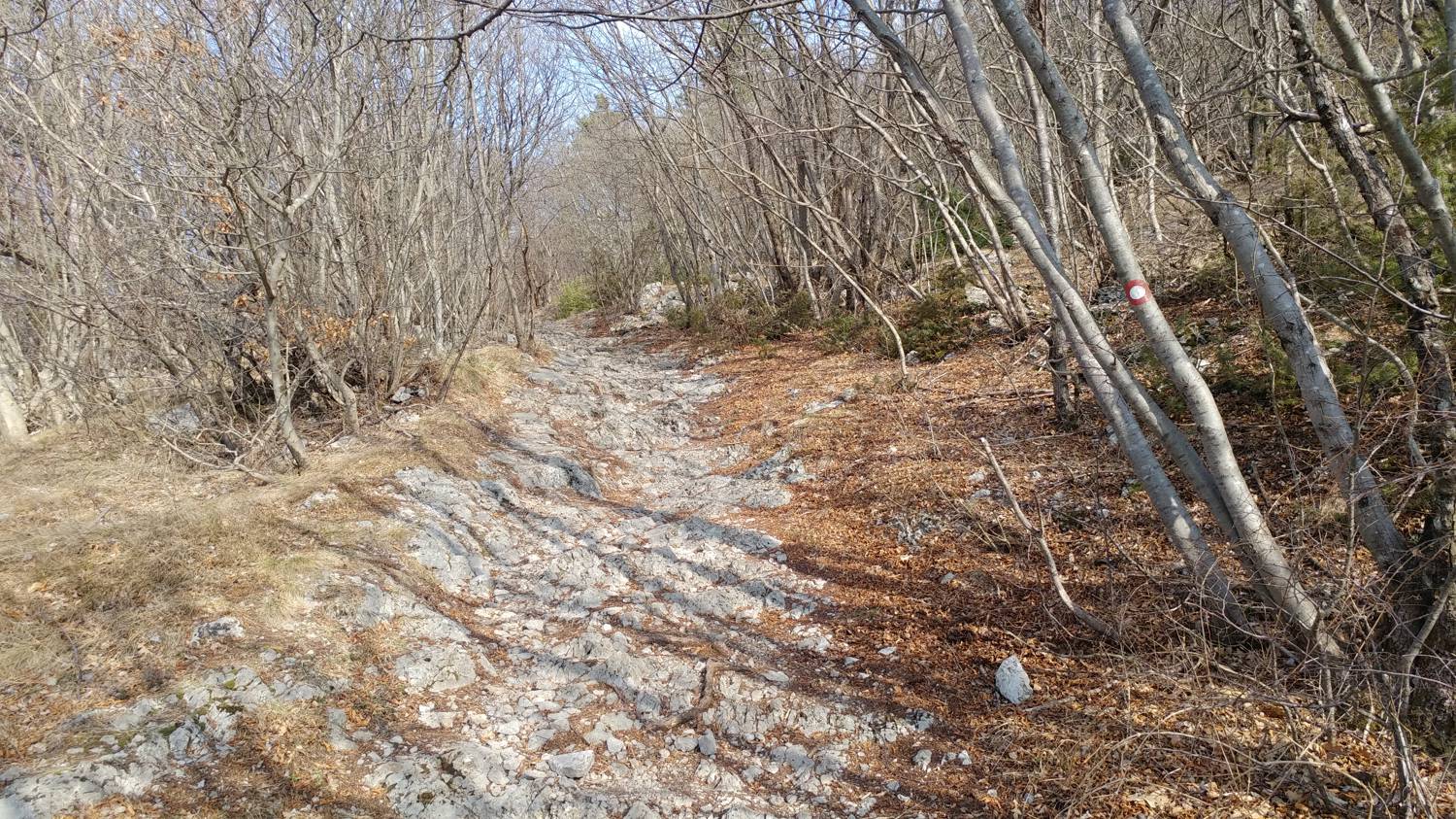 Loščica - Vremščica slika 7