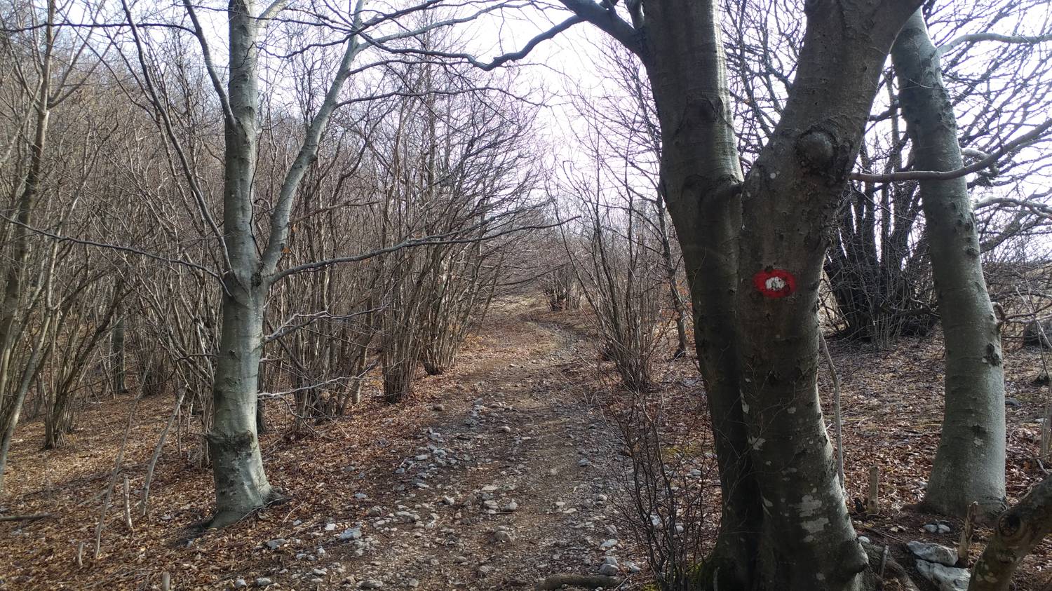 Loščica - Vremščica slika 18