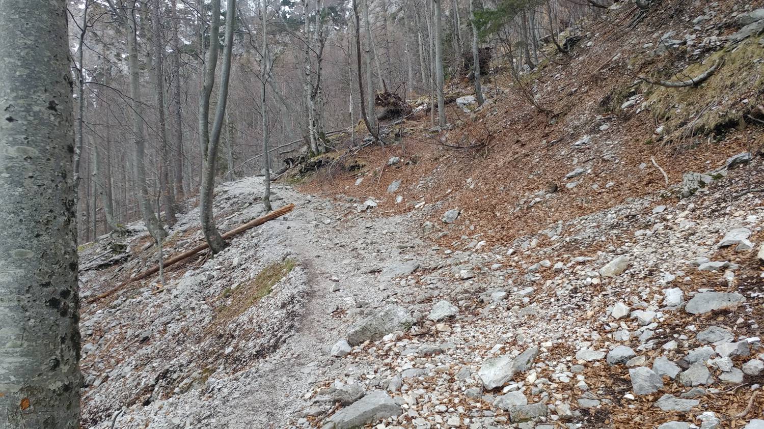 Koča pod slapom Rinka - Frischaufov dom na Okrešlju slika 4