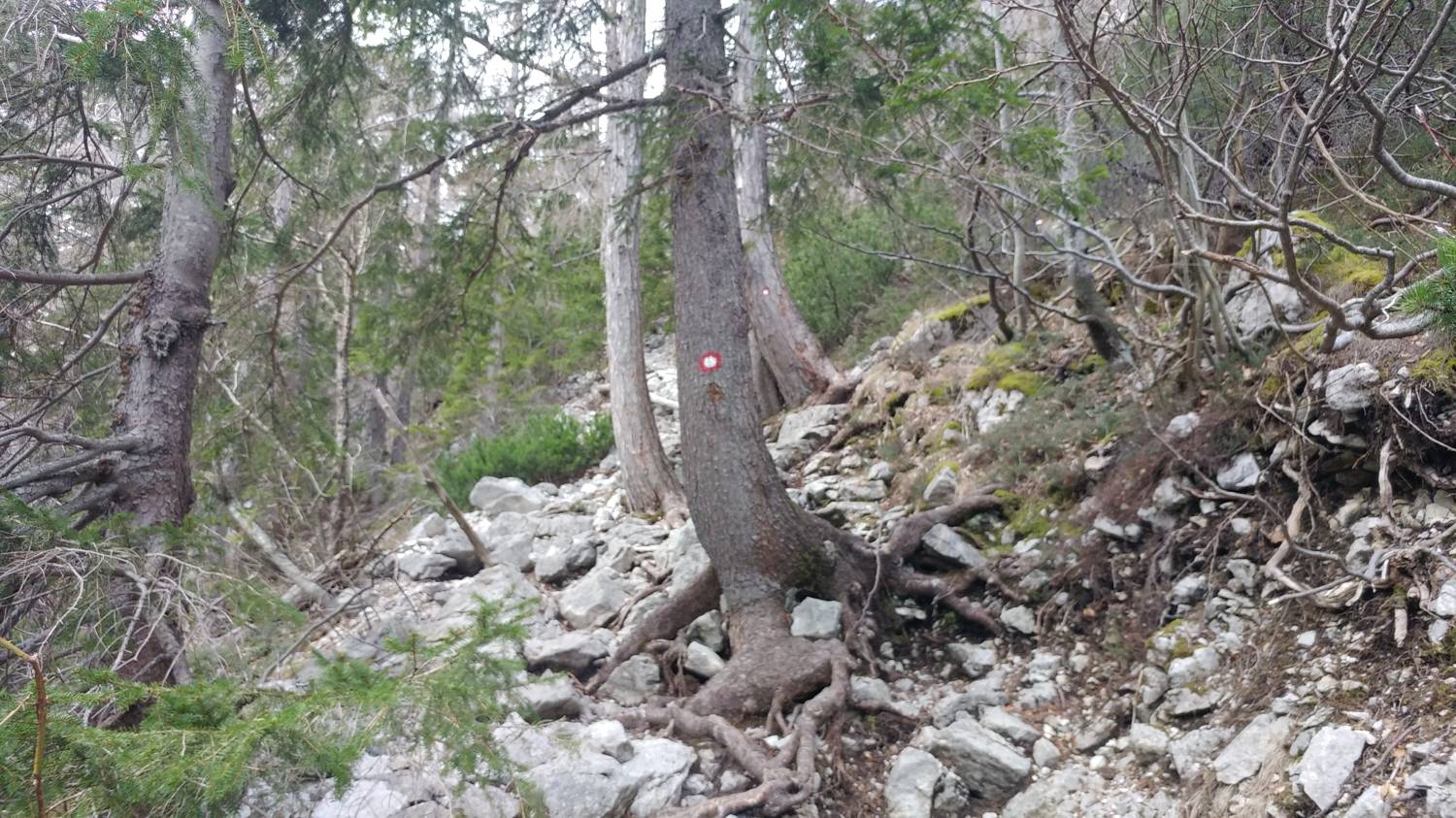 Koča pod slapom Rinka - Frischaufov dom na Okrešlju slika 9