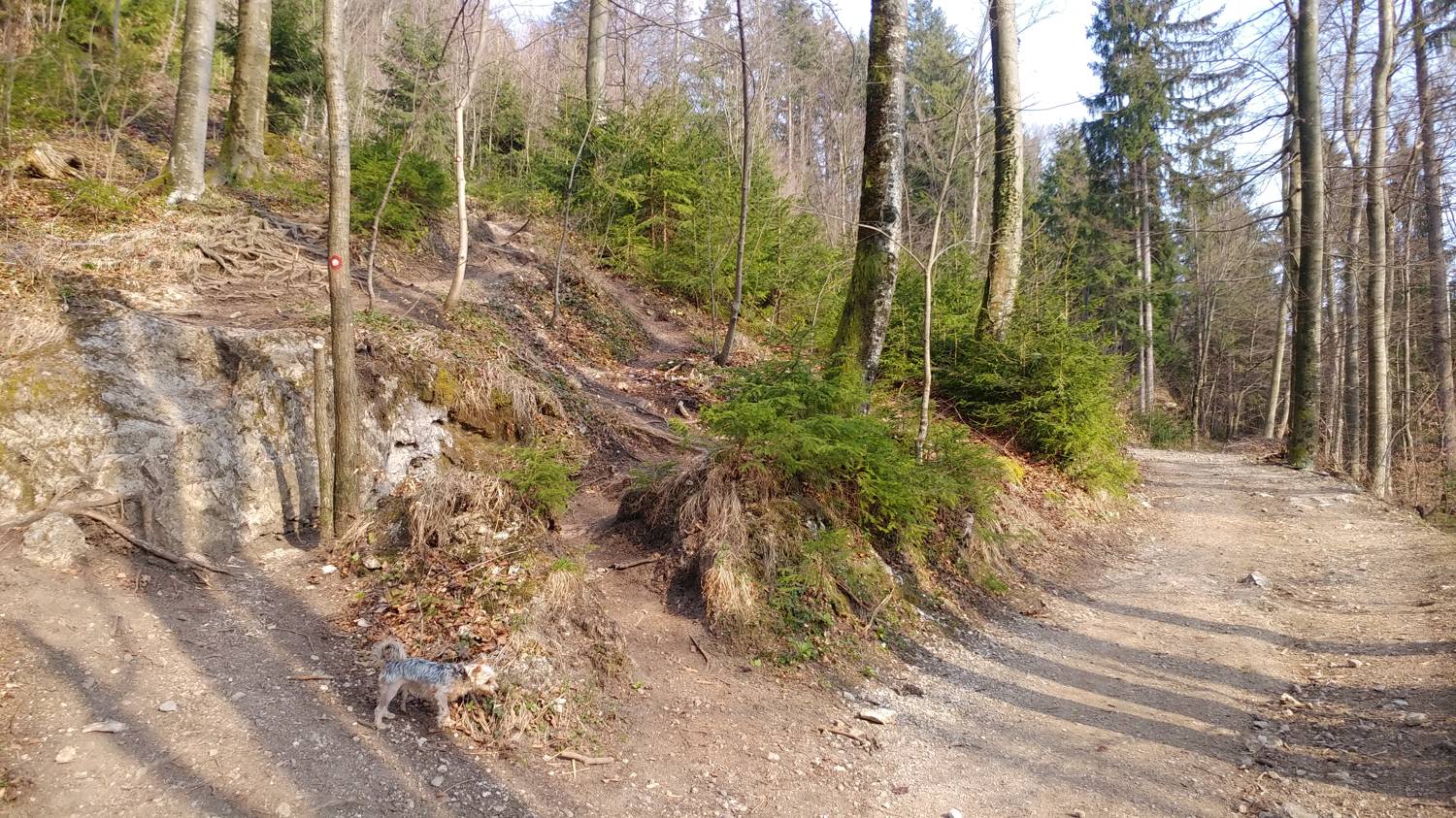 Breznica - Lubnik slika 13