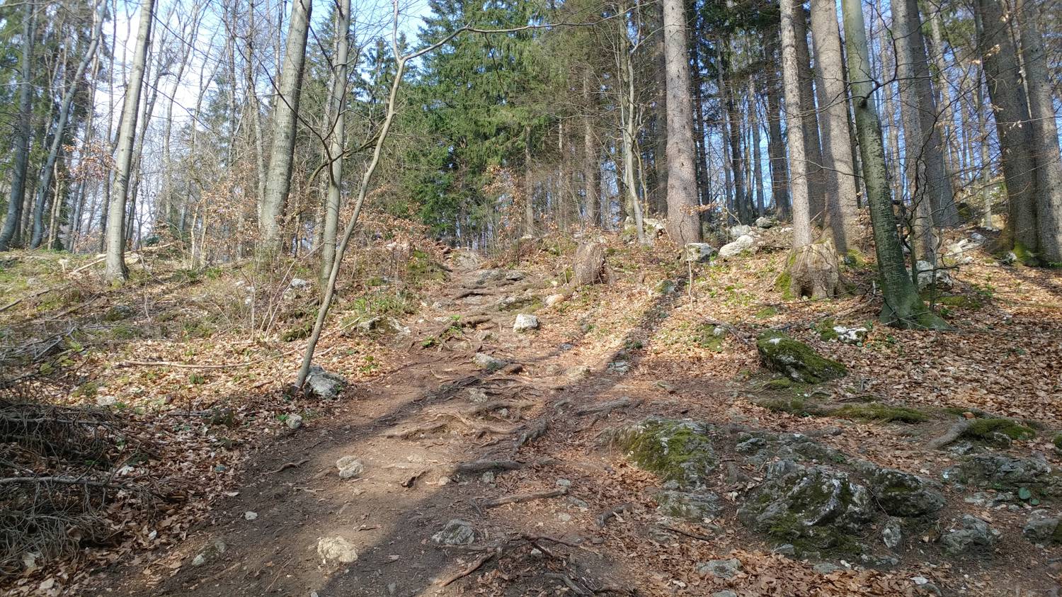Breznica - Lubnik slika 15